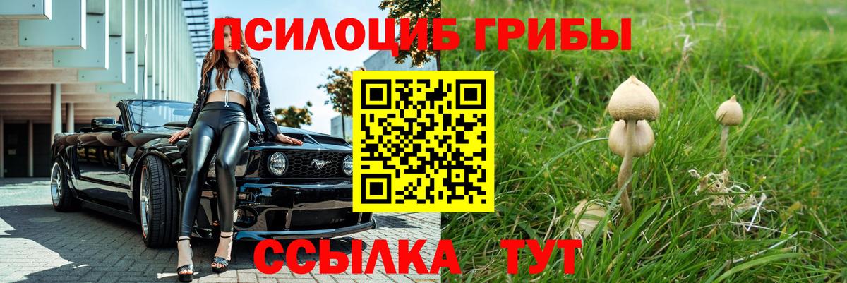 Галлюциногенные грибы Psilocybe Йошкар-Ола