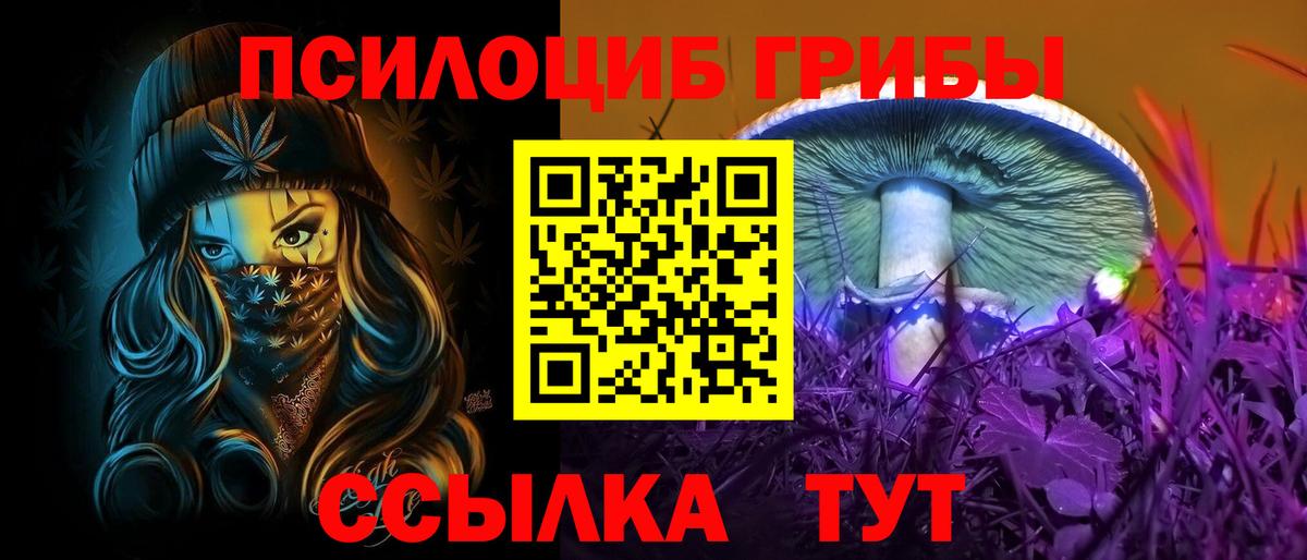 Псилоцибиновые грибы мицелий  Вход с VPN  Галлюциногенные грибы мицелий  где купить наркоту  Йошкар-Ола 